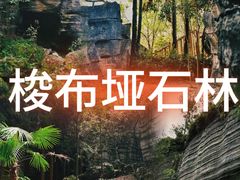 -梭布垭石林景区