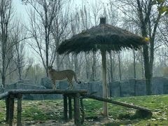 -北京野生动物园