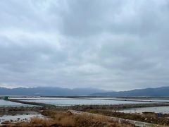 -北岐滩涂