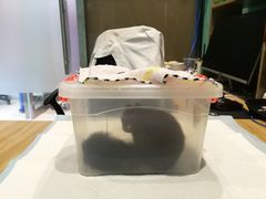 -雨林宠物医院 非犬猫异宠专科