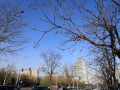 -RiceZone乐食尊纯米面包坊(望京店)