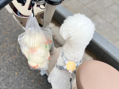 -袁大头包子(光华路店)