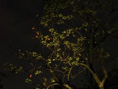 -木守西溪溪隐餐厅