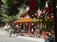 -竹庄餐馆·26年店(南昆山景区店)