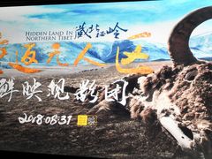 -天幕新彩云国际影城(激光巨幕店)