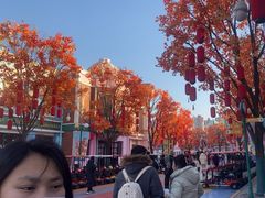 -沈阳方特欢乐世界