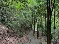 -凤栖山