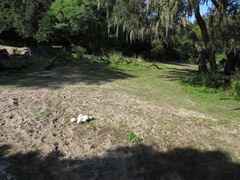 -奥兰多迪士尼动物王国乐园