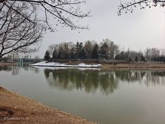 -西安浐灞国家湿地公园