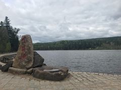 -五营红松林海景区