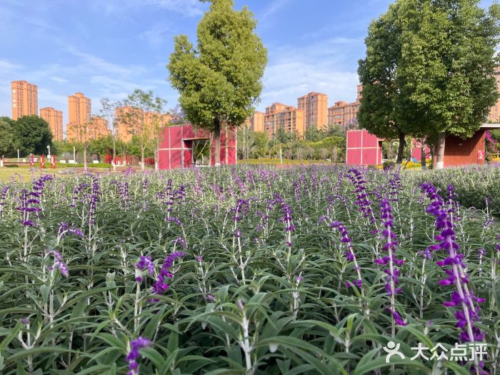 圣灯公园图片