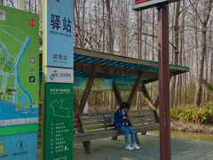 -合肥滨湖国家森林公园