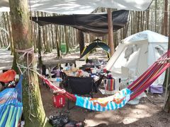 -重庆睡佛山森林公园