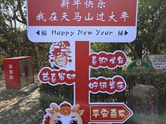 -上海佘山国家森林公园天马山园