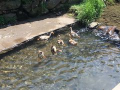-会稽山峡洞漂流-上青古道