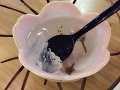 -柴务处·柴犬主题狗咖