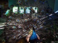 -陕西自然博物馆