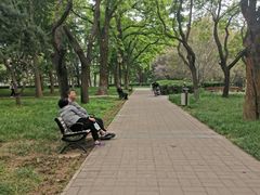 -玲珑塔公园