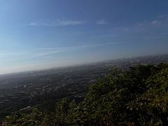 -杭州半山国家森林公园