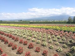 -富田农场