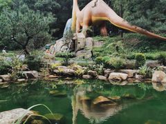 -森波拉奇妙世界