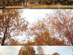 -四海公园(南山区)