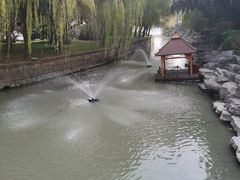 -同里湖度假村(二期店)