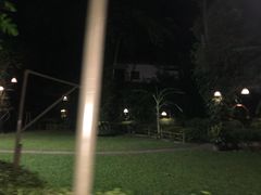 -卷心菜和避孕套餐厅(Pattaya)