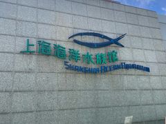 -上海海洋水族馆