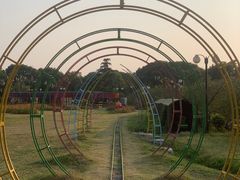 -苏州太湖西山岛开心农场