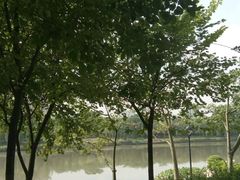 -怡海公园(桂城街道)