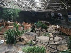 -中国第四纪冰川遗迹陈列馆