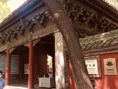 -北京国子监胡同