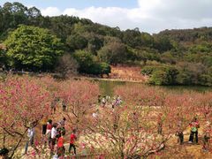 -南国桃园旅游度假区