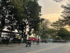 -长洲岛
