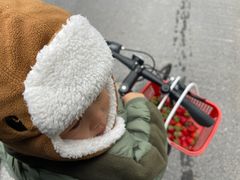 -喜杨洋草莓采摘园