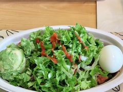 -油梨树AVOCADO TREE(望京店)