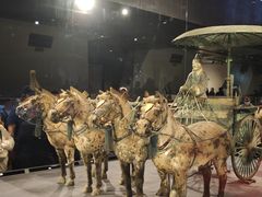 -秦始皇帝陵博物院-丽山园