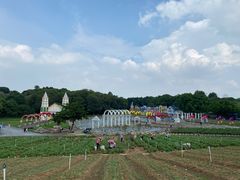 -松山湖梦幻百花洲