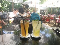-Fern Forest Cafe