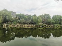 -文瀛公园