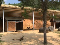 -泉州海丝野生动物世界