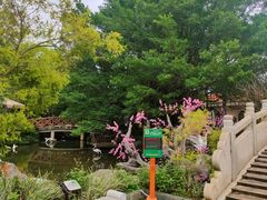 -河源客天下-温泉小镇