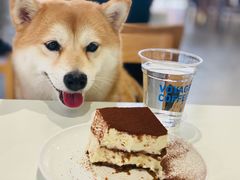 -VOYAGE COFFEE 咖啡烘焙工坊店(798艺术区店)