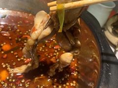 -宽口美蛙鱼头(大唐西市店)