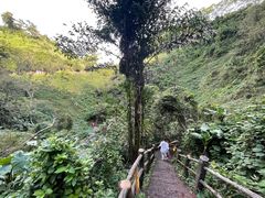 -海口火山口国家地质公园