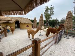 -珠海海泉湾神秘岛亲子乐园