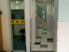 -荣耀金沙动物医院(清江西路店)