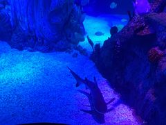 -沈阳海洋探索中心