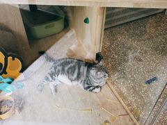 -有才叔的小馆(招商依云曲江店)